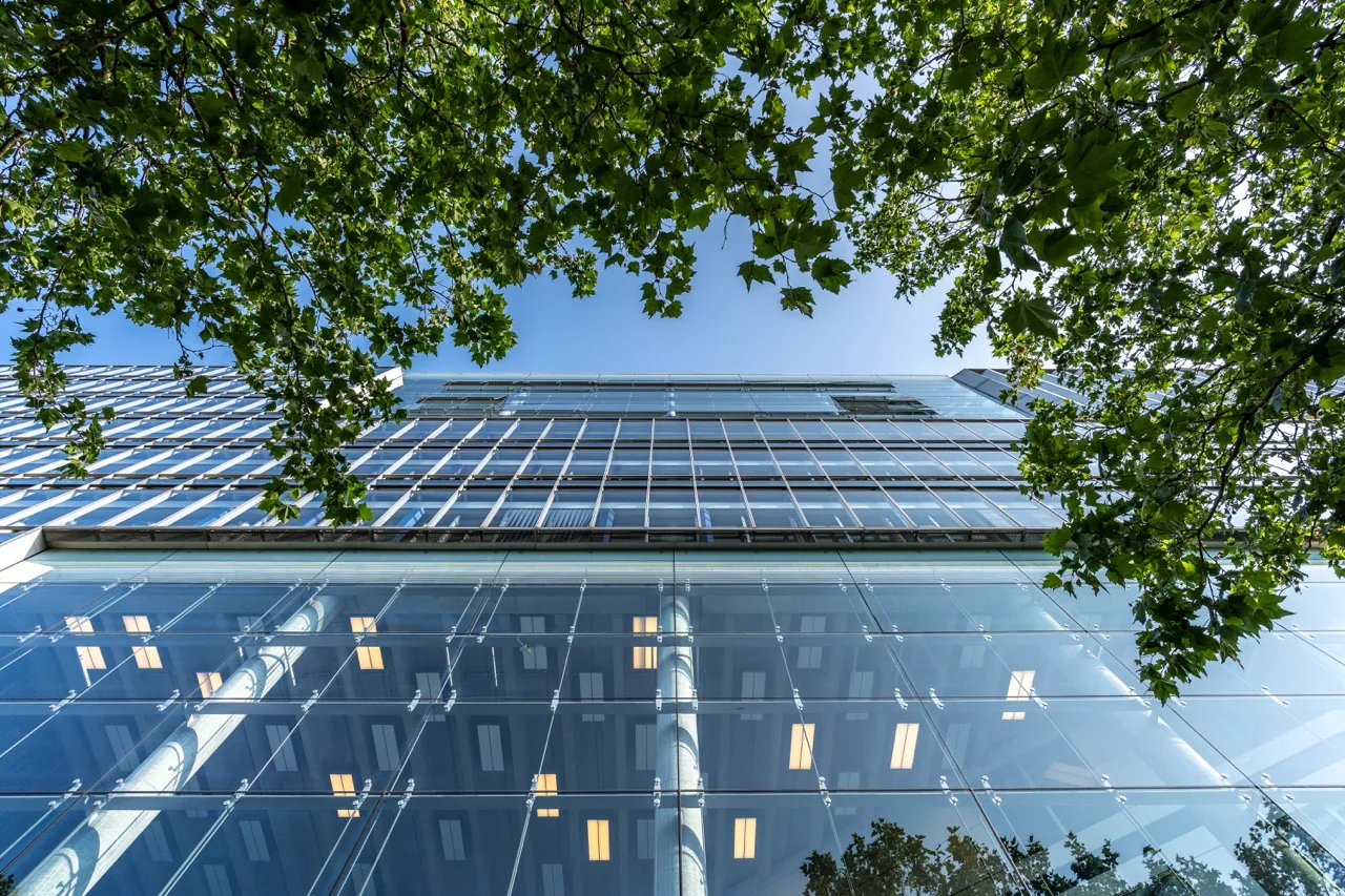 Eingangsbereich eines gepflegten Wohnhauses