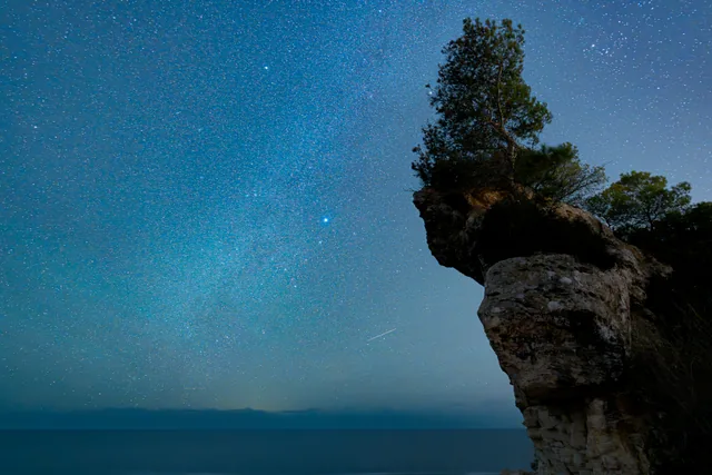 Sternenhimmel über dem Meer neben einem mit Bäumen bewachsenen Felsen