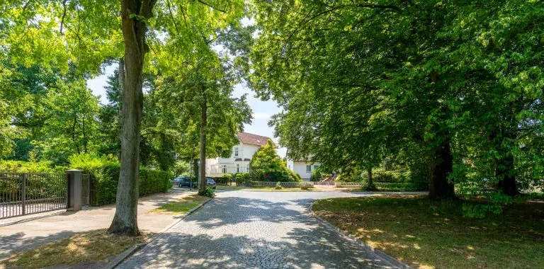 Baumbestandene Straße in Hamburg-Marienthal